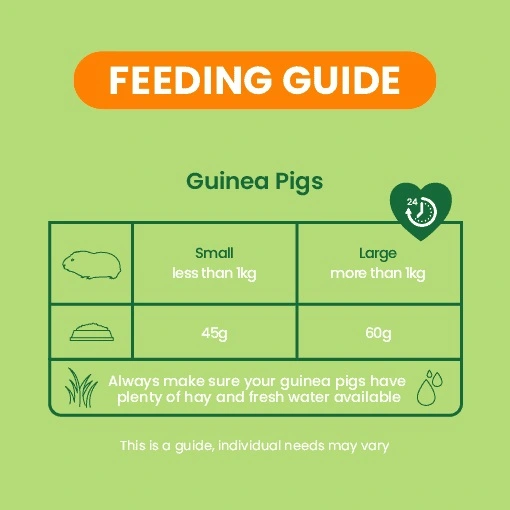 Burgess Excel Guinea Pig 3 kg - Højt fiberindhold med mint og C-vitamin